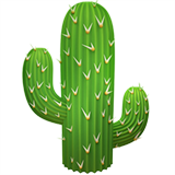 Apple cactus