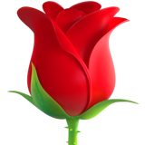 Apple rose