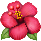 苹果 芙蓉