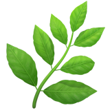 苹果 草本植物