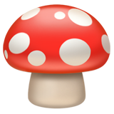 苹果 蘑菇