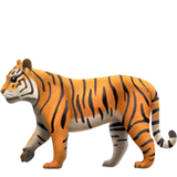 Apple tiger