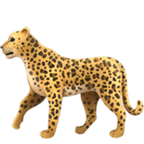 Apple leopard