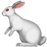 Apple rabbit