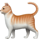 Apple cat