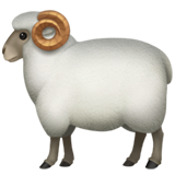 Apple ram