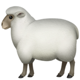 Apple ewe