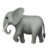 Apple elephant