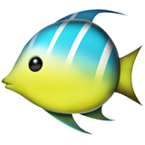 Apple tropical fish