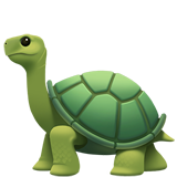 Apple turtle