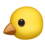 Apple baby chick