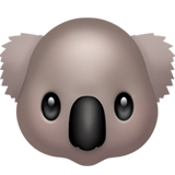 Apple koala