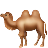 Apple two-hump camel