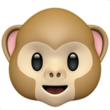 Apple monkey face