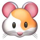 Apple hamster