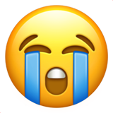 苹果 大哭的表情