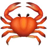 Apple crab
