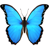 Apple butterfly
