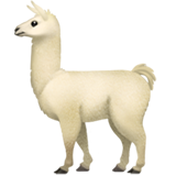 Apple llama