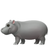 Apple hippopotamus