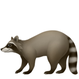 Apple raccoon