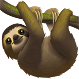 Apple sloth