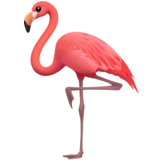 Apple flamingo