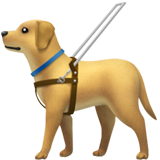 苹果 导盲犬