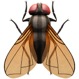 Apple fly