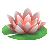 苹果 莲花