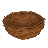 Apple empty nest