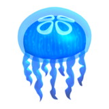 苹果 水母