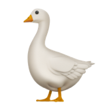 Apple goose