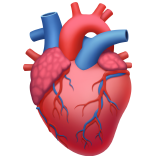 Apple anatomical heart