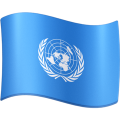 Facebook 联合国会旗