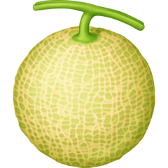 Facebook melon