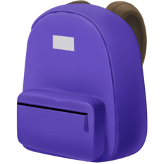 Facebook backpack