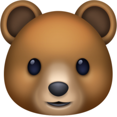 Facebook bear