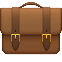 Facebook briefcase