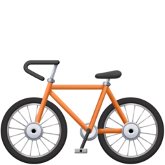 Facebook bicycle