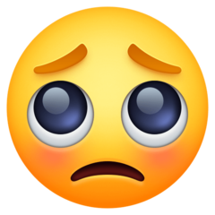 Facebook pleading face