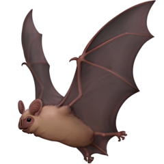 Facebook bat