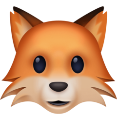 Facebook fox