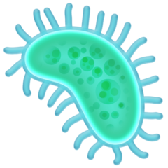 Facebook microbe
