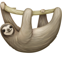 Facebook sloth