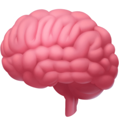 Facebook brain