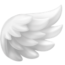 Facebook wing