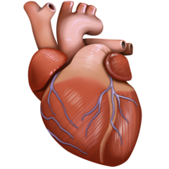 Facebook anatomical heart
