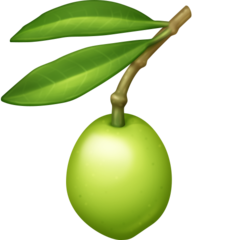 Facebook olive