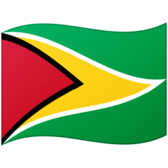 Google flag: Guyana